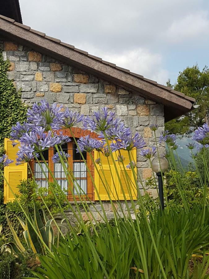 Villa Fior Di Lavanda Cisano sul Neva Exterior photo