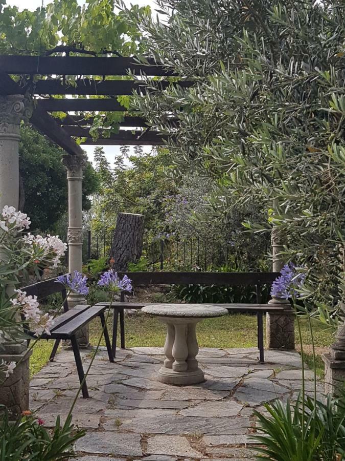 Villa Fior Di Lavanda Cisano sul Neva Exterior photo